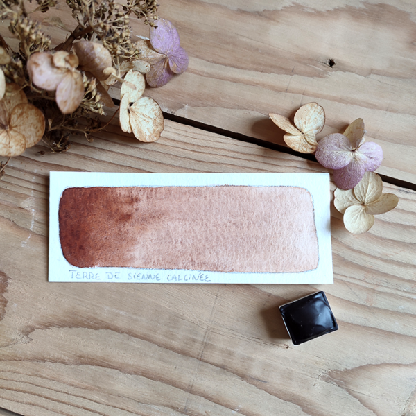 Aquarelle artisanale : terre de sienne calcinée en demi-godet