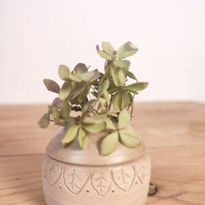 Petit vase - feuilles