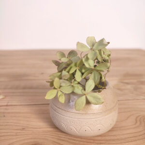 Petit vase - ponts
