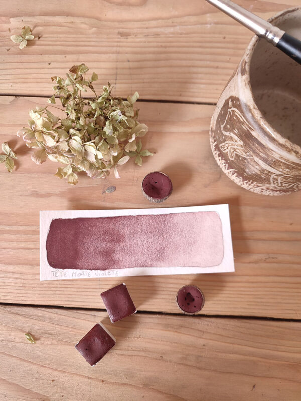 Aquarelle artisanale : tête morte violette dans cupule de gland