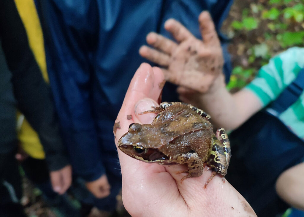 modele-de-mentorat-culturel-connexion-profonde-a-la-nature