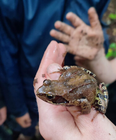 modele-de-mentorat-culturel-connexion-profonde-a-la-nature